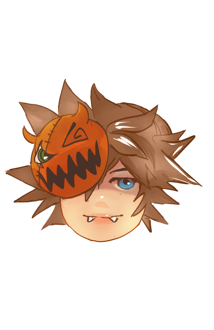 sora kingdom hearts